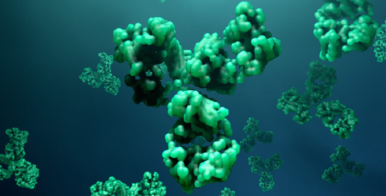 Custom Monoclonal Antibody Development Service